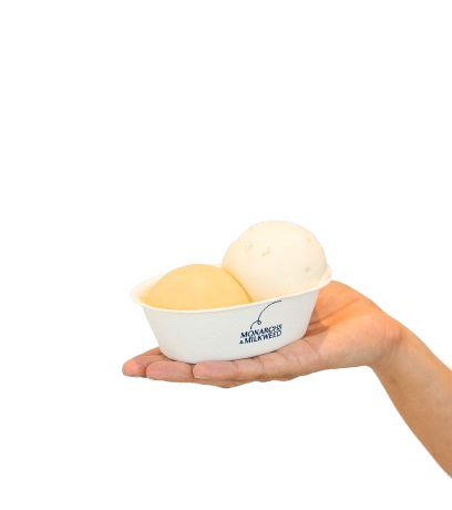 Vegan Gelato